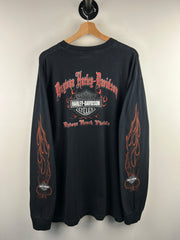 Vintage 2005 Harley Davidson Ace Of Spades Flames Florida Black Long Sleeve