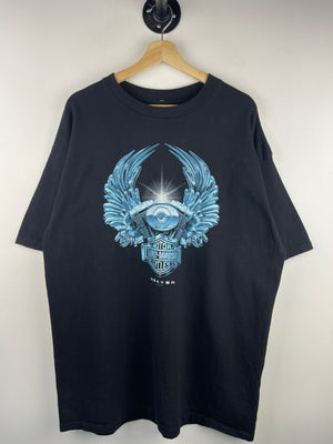 Descriptive image text