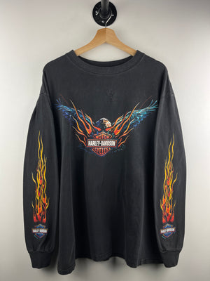 Descriptive image text