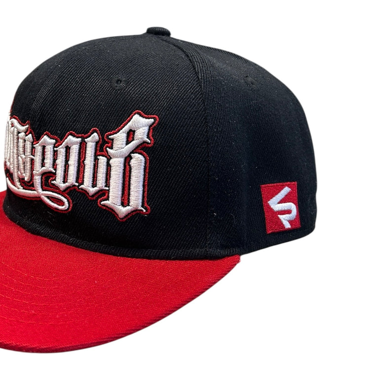 Vintage Y2K South Pole Black Snapback Hat