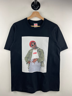 Descriptive image text