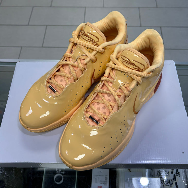 Nike Lebron 21 Melo Melo