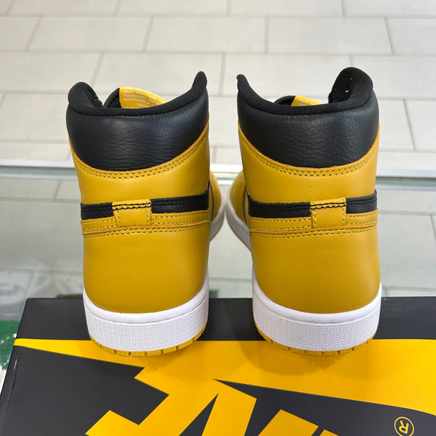 Jordan 1 Pollen