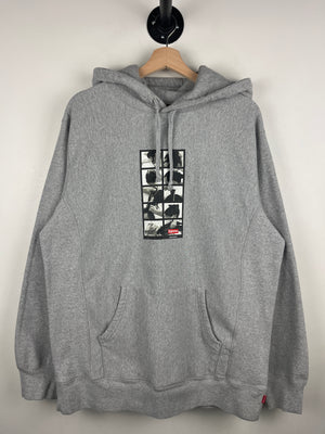 Descriptive image text