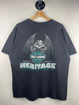 Descriptive image text