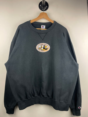 Descriptive image text