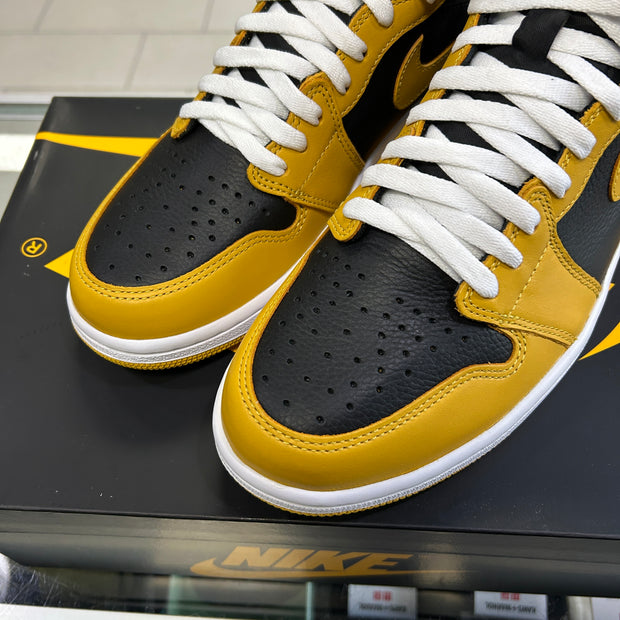 Jordan 1 Pollen