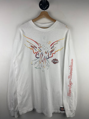 Descriptive image text