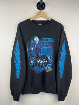 Descriptive image text