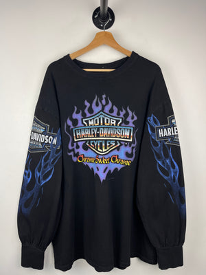 Descriptive image text