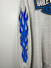 Vintage 80s Harley Davidson Blue Flames Ohio Grey Long Sleeve