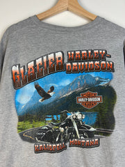 Vintage Harley Davidson Montana Grey Longsleeve