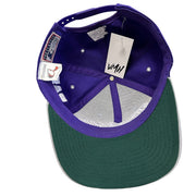 Vintage 90s Starter Western Mustangs London University Tailsweep Snapback Hat