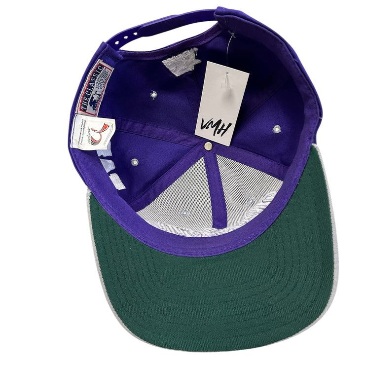Vintage 90s Starter Western Mustangs London University Tailsweep Snapback Hat