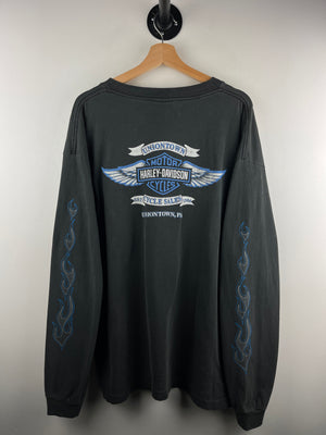 Descriptive image text