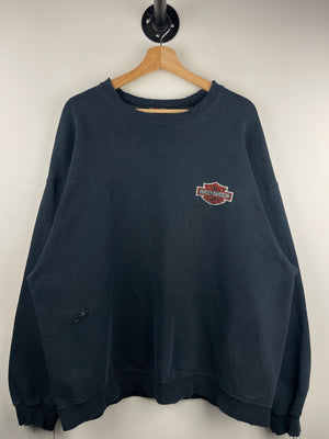 Descriptive image text