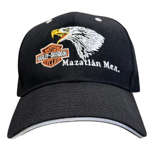 Descriptive image text