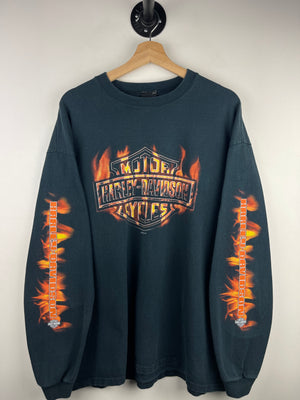 Descriptive image text