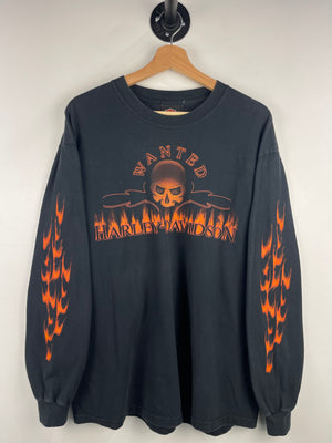 Vintage 2006 Harley Davidson Flames Skull Michigan Black Long Sleeve