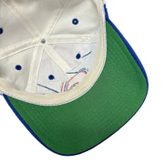 Vintage 90s NHL Logo Athletic Quebec Nordiques Shark Tooth Snapback Hat