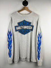 Vintage 80s Harley Davidson Blue Flames Ohio Grey Long Sleeve