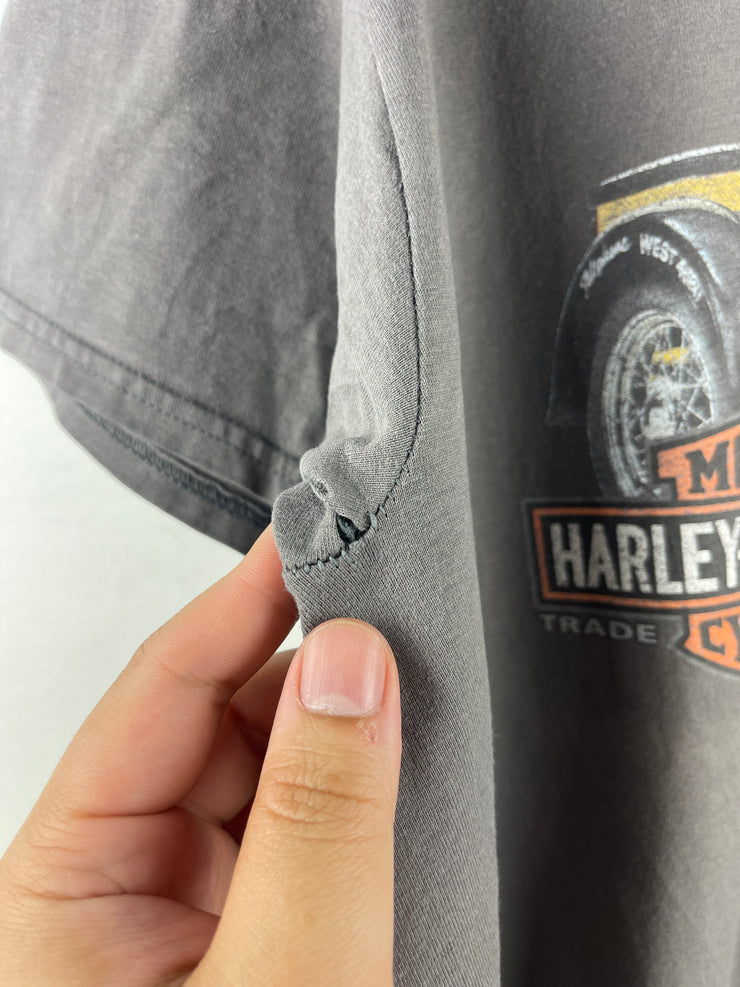 Vintage  Harley Davidson Pin Up Girl Altoona Grey Tee