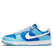 Nike Dunk Low Argon